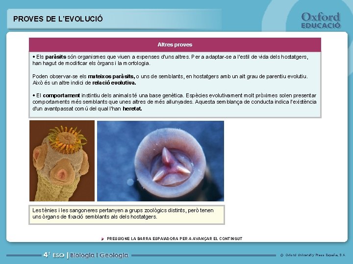 PROVES DE L’EVOLUCIÓ Altres proves Els paràsits són organismes que viuen a expenses d’uns