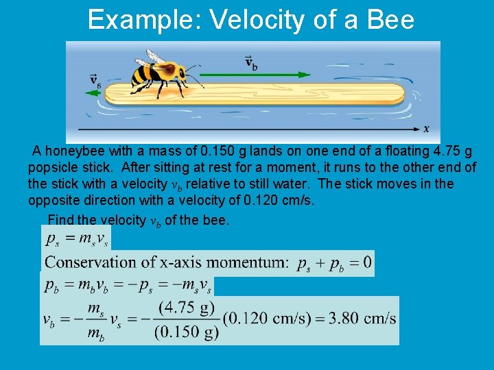 Example: Velocity of a Bee A honeybee with a mass of 0. 150 g
