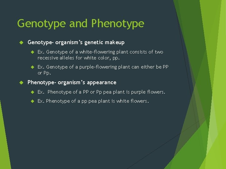 Genotype and Phenotype Genotype- organism’s genetic makeup Ex. Genotype of a white-flowering plant consists