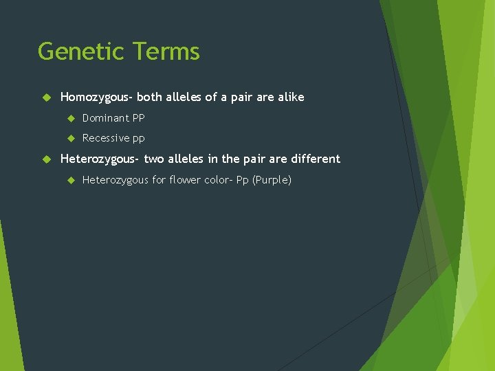 Genetic Terms Homozygous- both alleles of a pair are alike Dominant PP Recessive pp