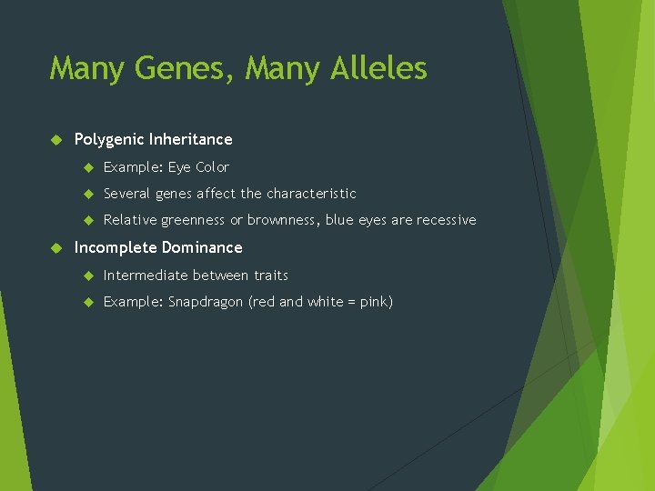 Many Genes, Many Alleles Polygenic Inheritance Example: Eye Color Several genes affect the characteristic