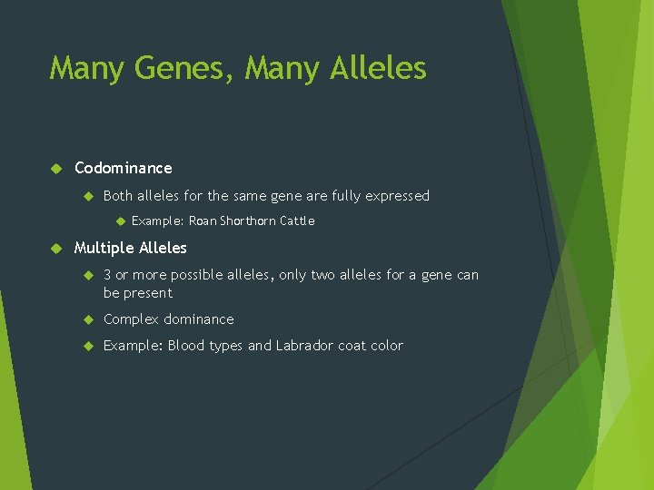 Many Genes, Many Alleles Codominance Both alleles for the same gene are fully expressed