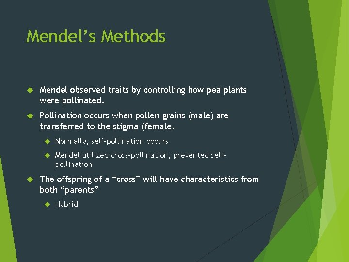 Mendel’s Methods Mendel observed traits by controlling how pea plants were pollinated. Pollination occurs