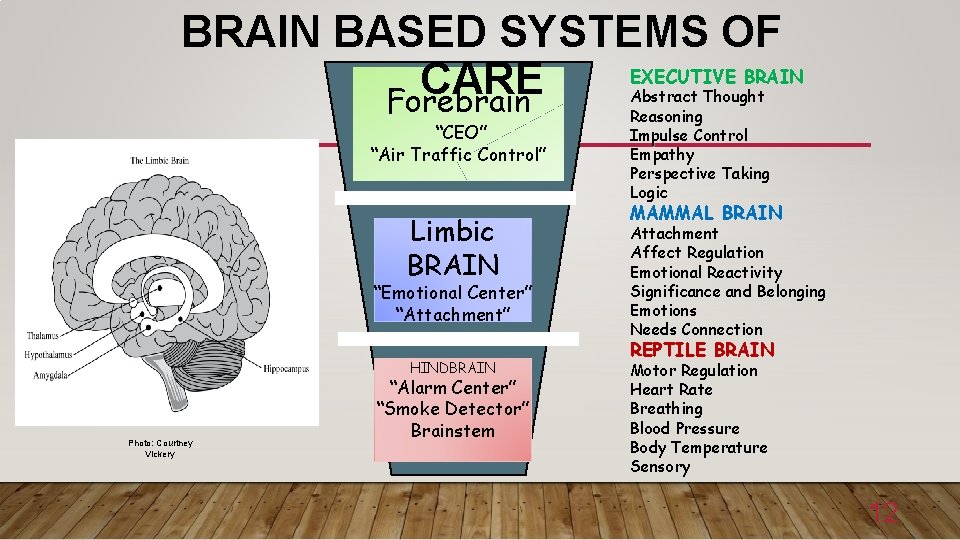 BRAIN BASED SYSTEMS OF EXECUTIVE BRAIN CARE Forebrain “CEO” “Air Traffic Control” Limbic BRAIN