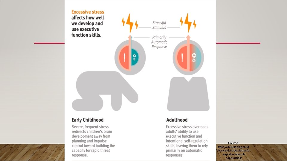 Sourcehttps: //developingchild. harvard. edu/science/d eep-dives/adultcapabilities/ 