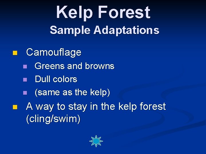 Kelp Forest Sample Adaptations n Camouflage n n Greens and browns Dull colors (same