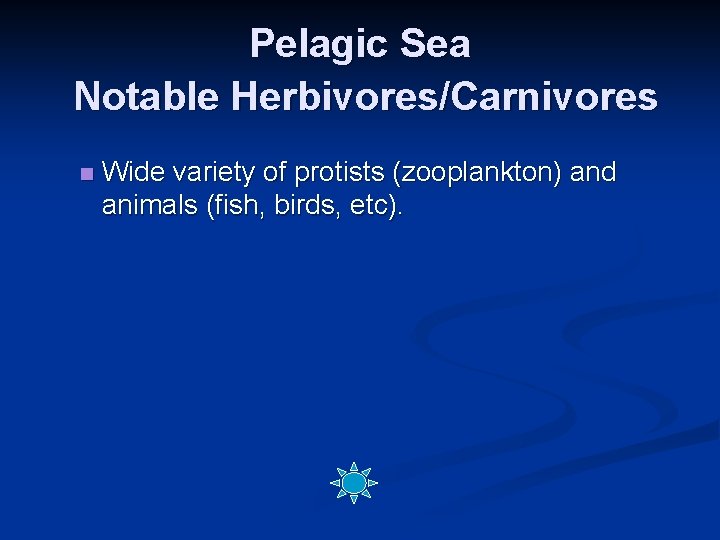 Pelagic Sea Notable Herbivores/Carnivores n Wide variety of protists (zooplankton) and animals (fish, birds,