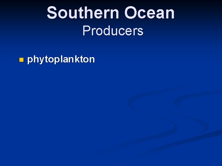 Southern Ocean Producers n phytoplankton 