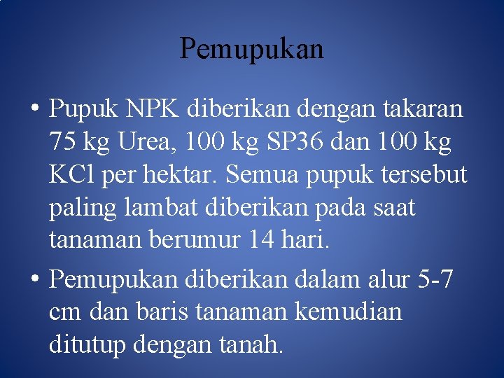 Pemupukan • Pupuk NPK diberikan dengan takaran 75 kg Urea, 100 kg SP 36