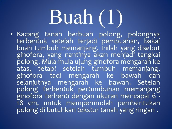 Buah (1) • Kacang tanah berbuah polong, polongnya terbentuk setelah terjadi pembuahan, bakal buah