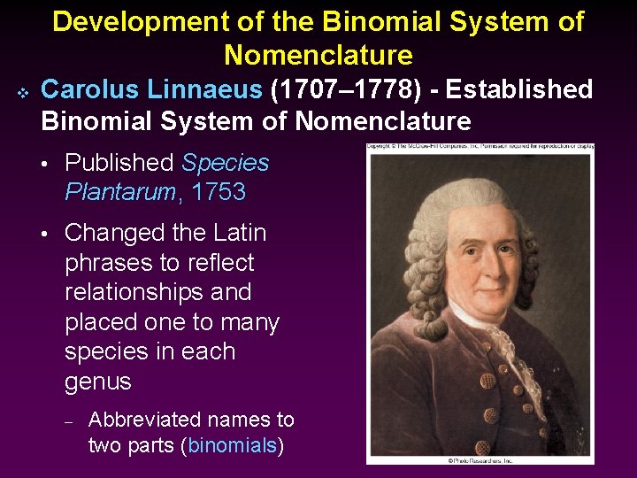 Development of the Binomial System of Nomenclature v Carolus Linnaeus (1707– 1778) - Established