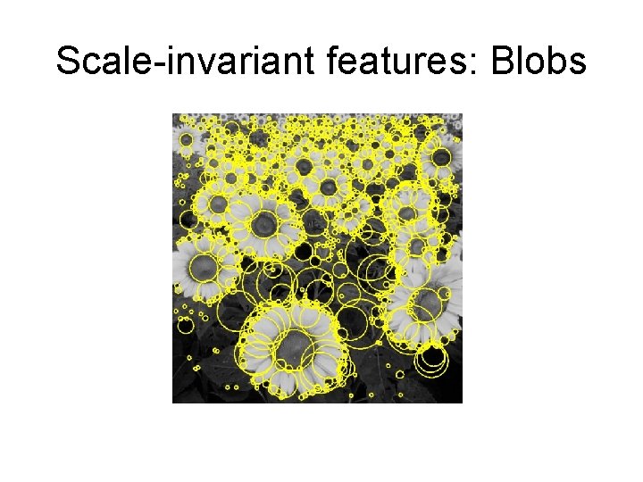 Scale-invariant features: Blobs 
