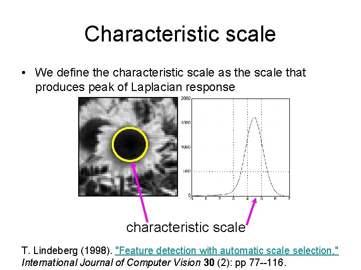 Characteristic scale • We define the characteristic scale as the scale that produces peak