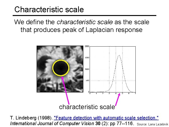 Characteristic scale We define the characteristic scale as the scale that produces peak of
