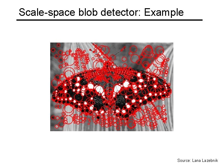 Scale-space blob detector: Example Source: Lana Lazebnik 