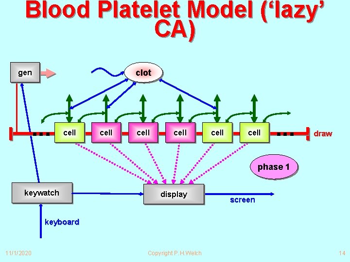 Blood Platelet Model (‘lazy’ CA) clot gen ∙∙∙ cell cell ∙∙∙ draw phase 1 Blood Platelet Model (‘lazy’ CA) clot gen ∙∙∙ cell cell ∙∙∙ draw phase 1