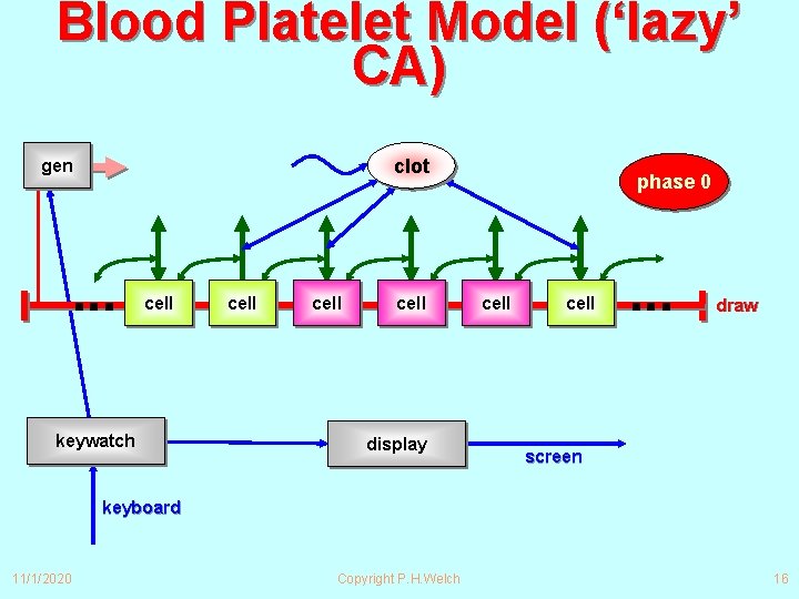 Blood Platelet Model (‘lazy’ CA) clot gen ∙∙∙ cell keywatch cell display phase 0