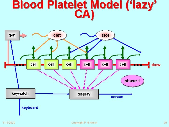 Blood Platelet Model (‘lazy’ CA) clot gen ∙∙∙ cell clot cell ∙∙∙ draw phase