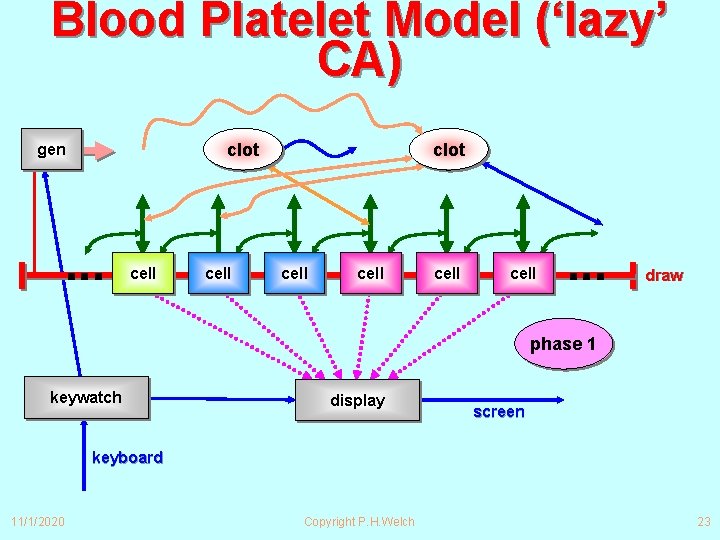 Blood Platelet Model (‘lazy’ CA) clot gen ∙∙∙ cell clot cell ∙∙∙ draw phase