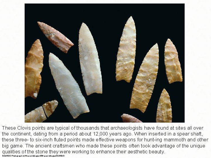 These Clovis points are typical of thousands that archaeologists have found at sites all