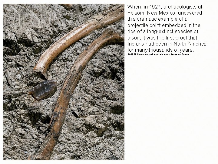 When, in 1927, archaeologists at Folsom, New Mexico, uncovered this dramatic example of a