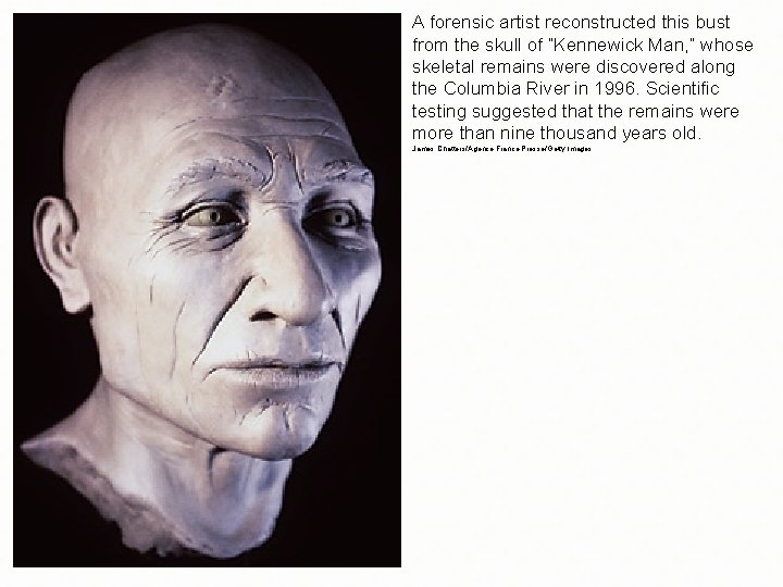 A forensic artist reconstructed this bust from the skull of “Kennewick Man, ” whose