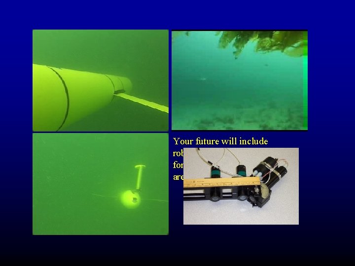 Your future will include robots patrolling the waters for you as optical instruments are