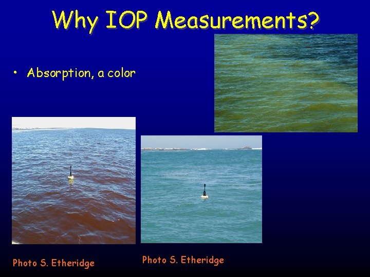 Why IOP Measurements? • Absorption, a color Photo S. Etheridge 