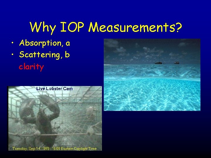 Why IOP Measurements? • Absorption, a • Scattering, b clarity 