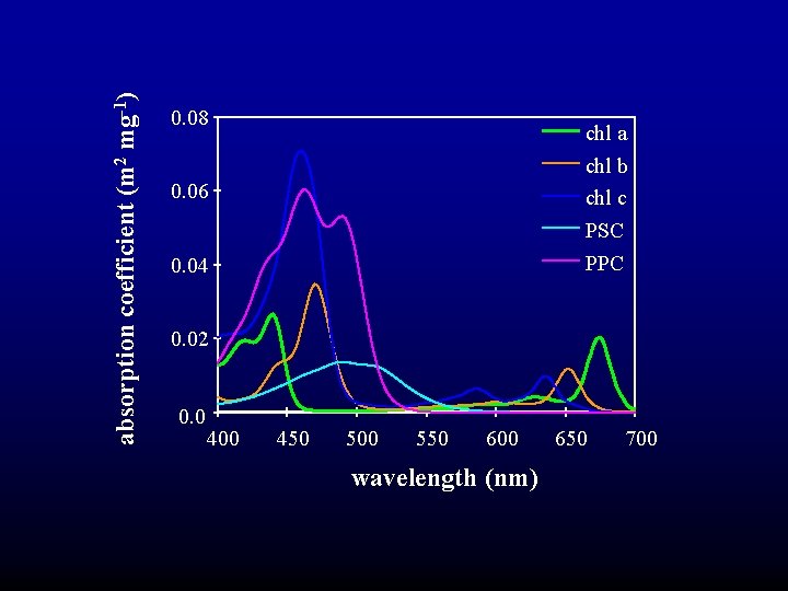 absorption coefficient (m 2 mg-1) 0. 08 chl a chl b chl c PSC