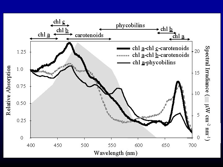 chl a chl c chl b phycobilins carotenoids 1. 0 15 0. 75 10