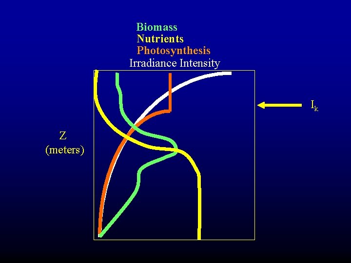 Biomass Nutrients Photosynthesis Irradiance Intensity Ik Z (meters) 