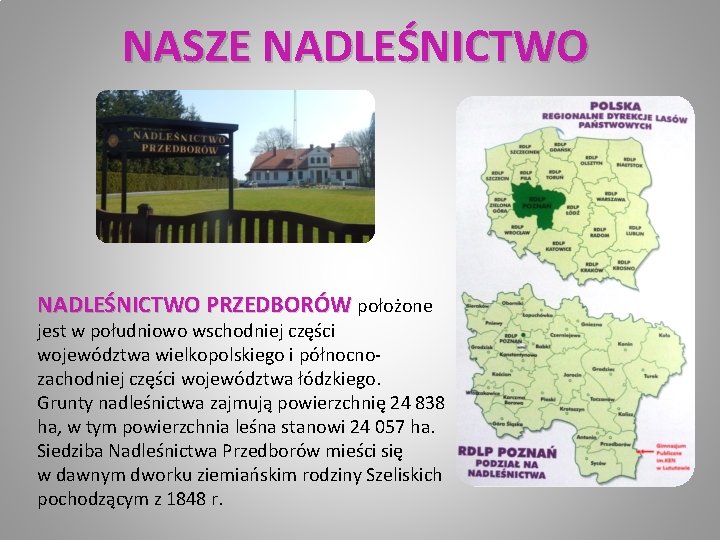 NASZE NADLEŚNICTWO PRZEDBORÓW położone jest w południowo wschodniej części województwa wielkopolskiego i północnozachodniej części