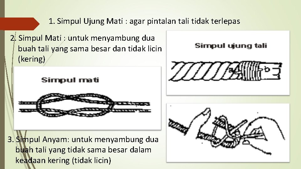 1. Simpul Ujung Mati : agar pintalan tali tidak terlepas 2. Simpul Mati :