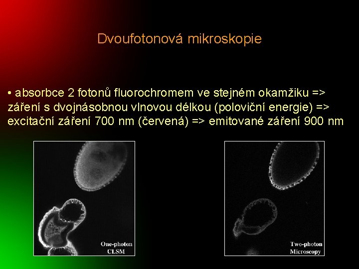 Dvoufotonová mikroskopie • absorbce 2 fotonů fluorochromem ve stejném okamžiku => záření s dvojnásobnou