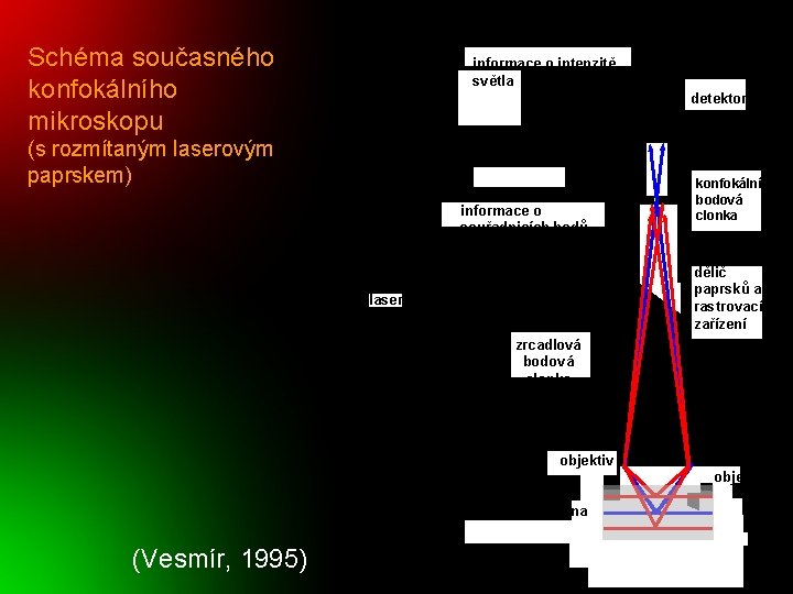 Schéma současného konfokálního mikroskopu informace o intenzitě světla detektor světla (s rozmítaným laserovým paprskem)