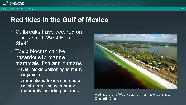 14 Engineering and Scientific Consulting Red tides in the Gulf of Mexico • Outbreaks