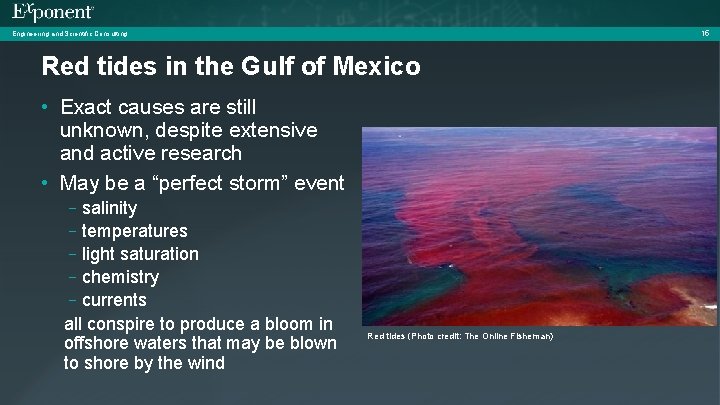 15 Engineering and Scientific Consulting Red tides in the Gulf of Mexico • Exact