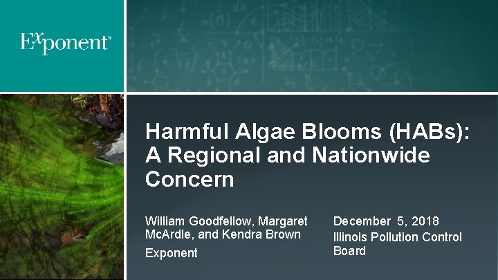 Engineering and Scientific Consulting Harmful Algae Blooms (HABs): A Regional and Nationwide Concern William