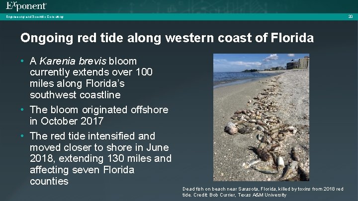 20 Engineering and Scientific Consulting Ongoing red tide along western coast of Florida •