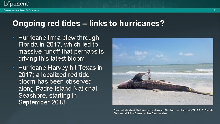 21 Engineering and Scientific Consulting Ongoing red tides – links to hurricanes? • Hurricane