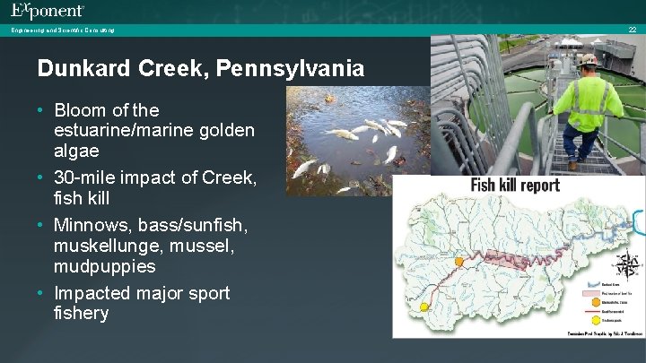 Engineering and Scientific Consulting Dunkard Creek, Pennsylvania • Bloom of the estuarine/marine golden algae