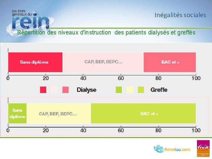 Inégalités sociales Répartition des niveaux d'instruction des patients dialysés et greffés Inégalités sociales Répartition des niveaux d'instruction des patients dialysés et greffés