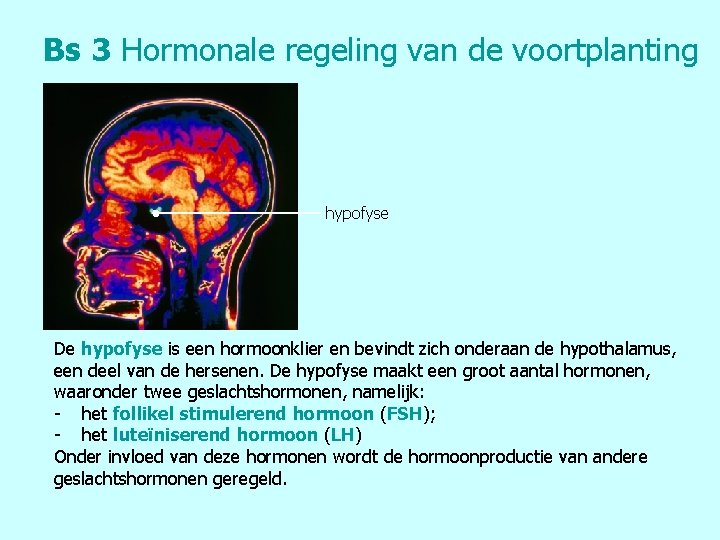 Bs 3 Hormonale regeling van de voortplanting hypofyse De hypofyse is een hormoonklier en