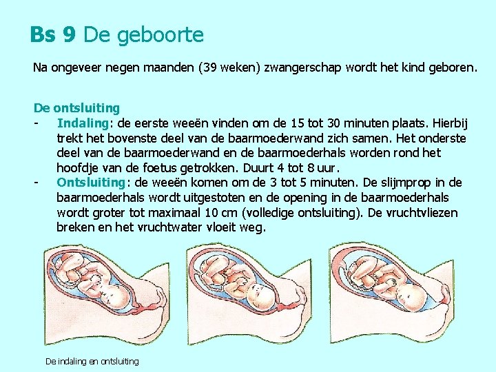 Bs 9 De geboorte Na ongeveer negen maanden (39 weken) zwangerschap wordt het kind