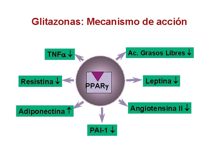 Glitazonas: Mecanismo de acción Ac. Grasos Libres TNF Resistina PPARg Leptina Angiotensina II Adiponectina