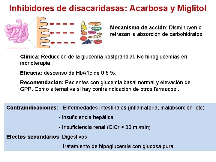 Inhibidores de disacaridasas: Acarbosa y Miglitol Mecanismo de acción: Disminuyen o retrasan la absorción