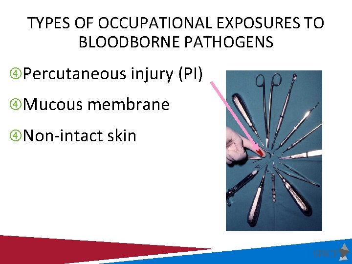 BLOODBORNE PATHOGEN STANDARD OSHAS FINAL RULE Slides by