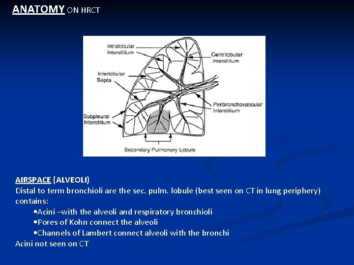ANATOMY ON HRCT AIRSPACE (ALVEOLI) Distal to term bronchioli are the sec. pulm. lobule