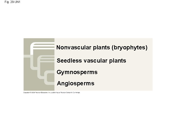 Fig. 29 -UN 1 Nonvascular plants (bryophytes) Seedless vascular plants Gymnosperms Angiosperms 